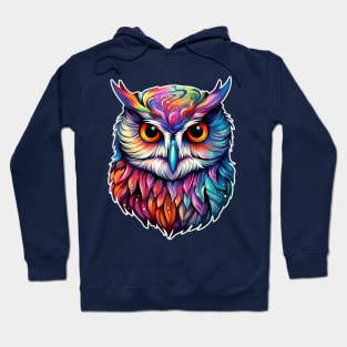 A beautiful owl Hoodie